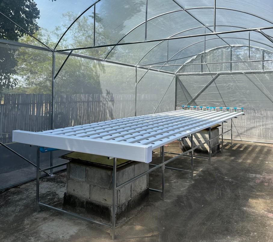 Lees meer over het artikel Varkens werden kippen en organische groententeelt de hoogte in